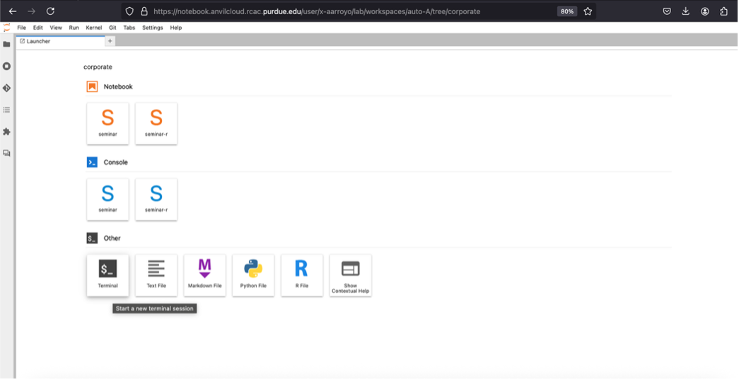 Terminal selection screenshot